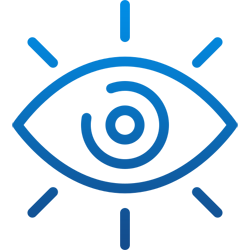 Vision